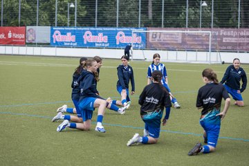 Bild 33 - wBJ Hamburger SV - FC Suederelbe : Ergebnis: 9:0